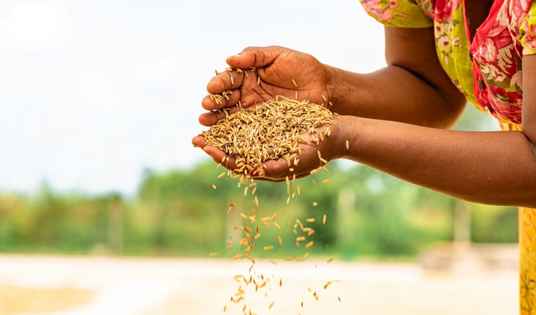 African woman pouring grain on her hands